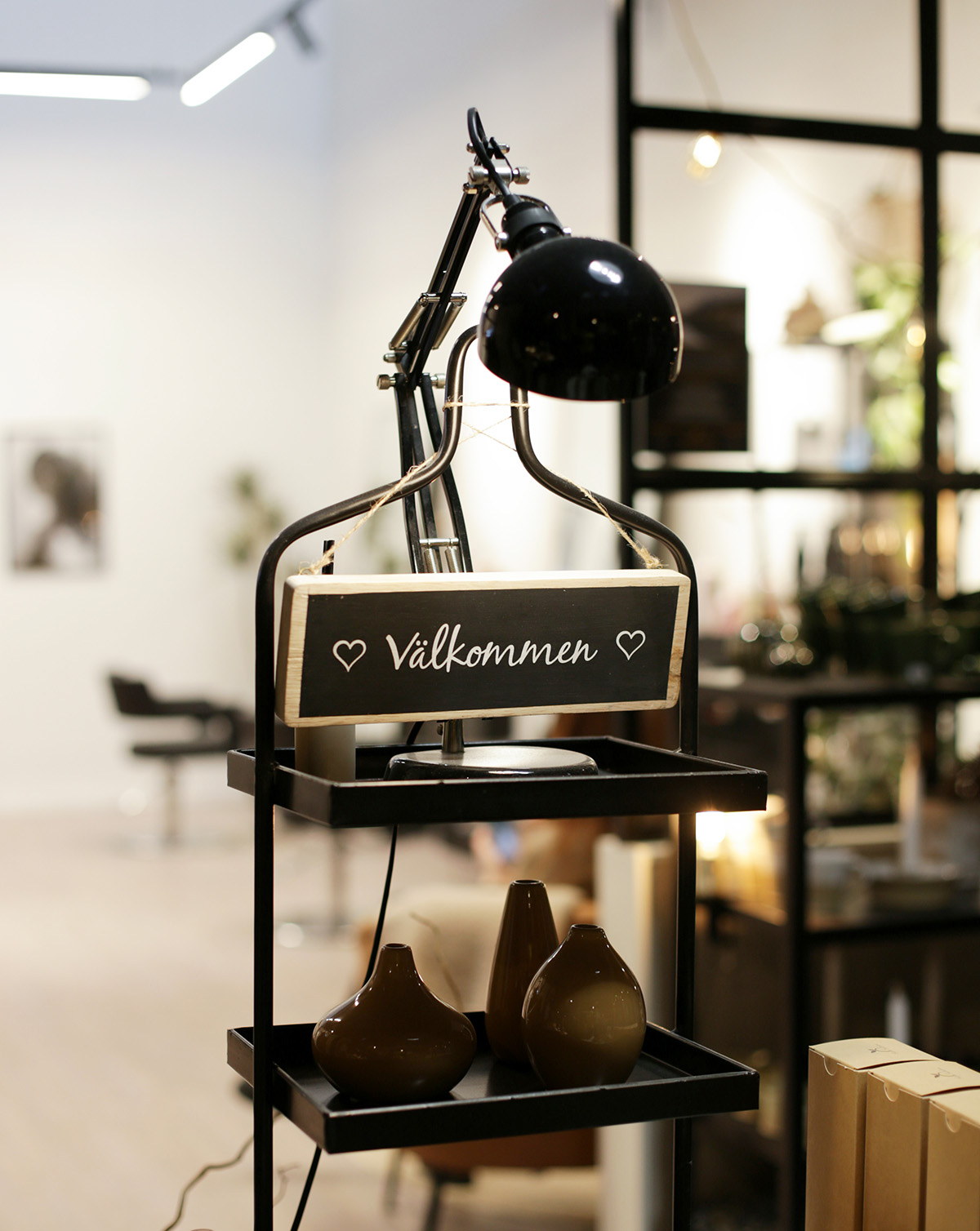 Välkommen till salongen