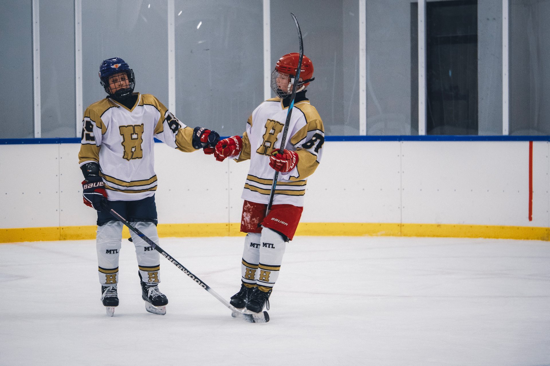 Teamwork on ice