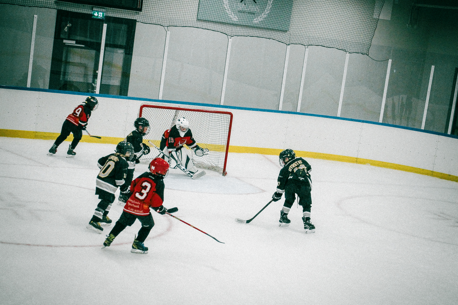 Hela hockeylaget samlade för lagbild